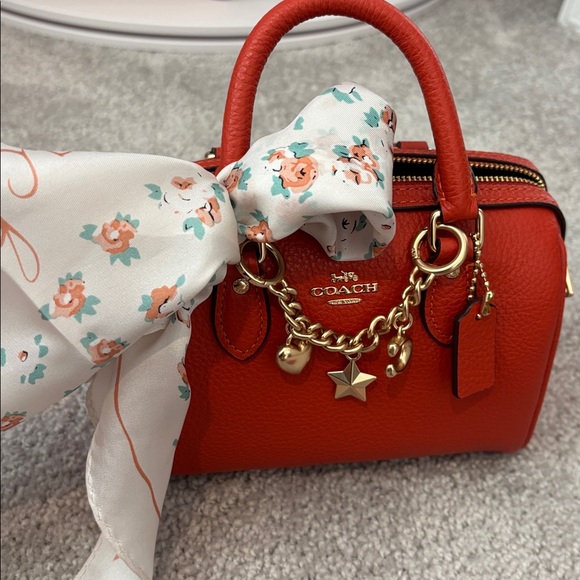 Burnt orange 🍊 Mini coach Rowan bundle - Picture 8 of 11